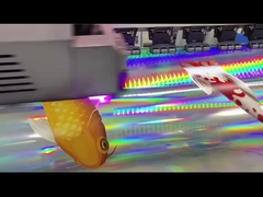 vinile ologramma stampabile con solvente ecologico/UV